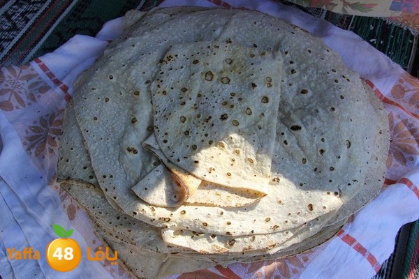 rashidiya 0212 (67).JPG